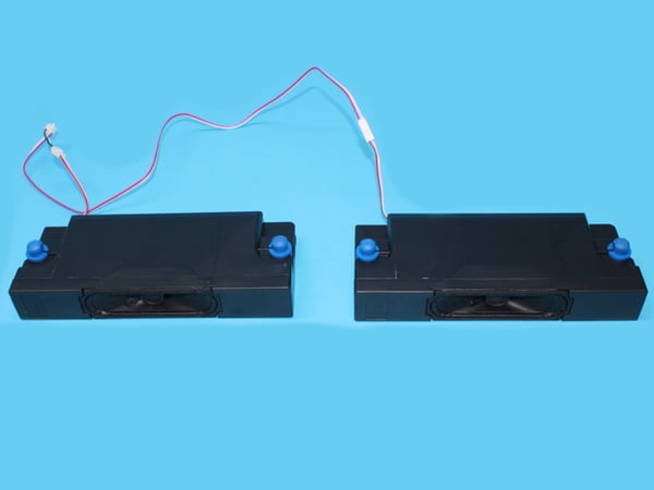 Speaker Ass'y 55A60GEVS(0005)