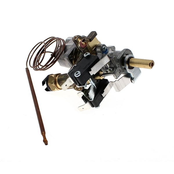 Grill Thermostat & Micro Switch