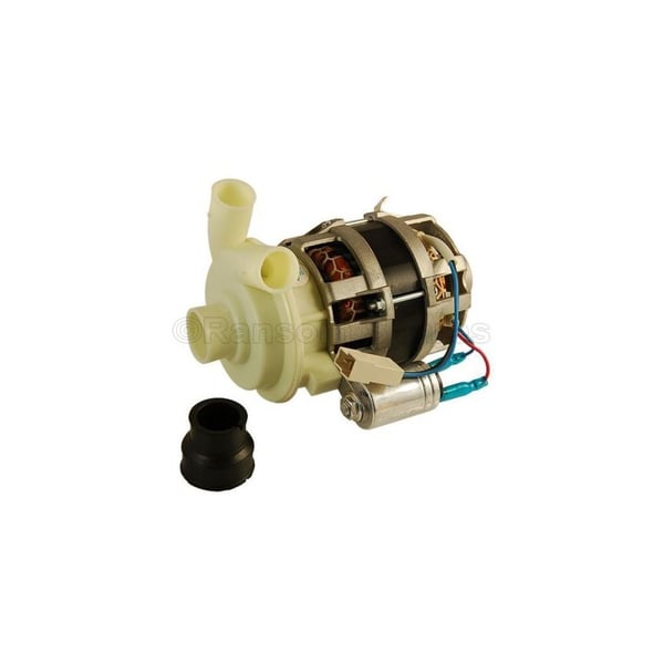 Pump Motor