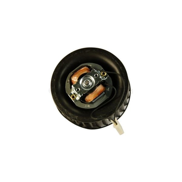 Fan Motor