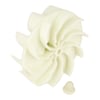 Flymo Garden Vacuum Impeller & Fixing Nut - Image 7