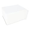 Ariston Fridge & Freezer Crisper Box - Image 8