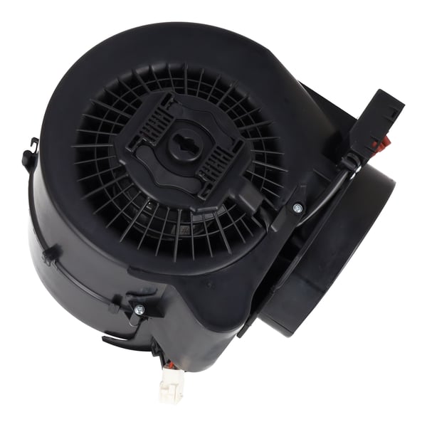 Motor Assembly