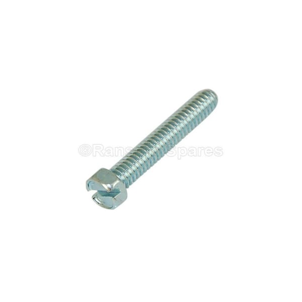 Screw