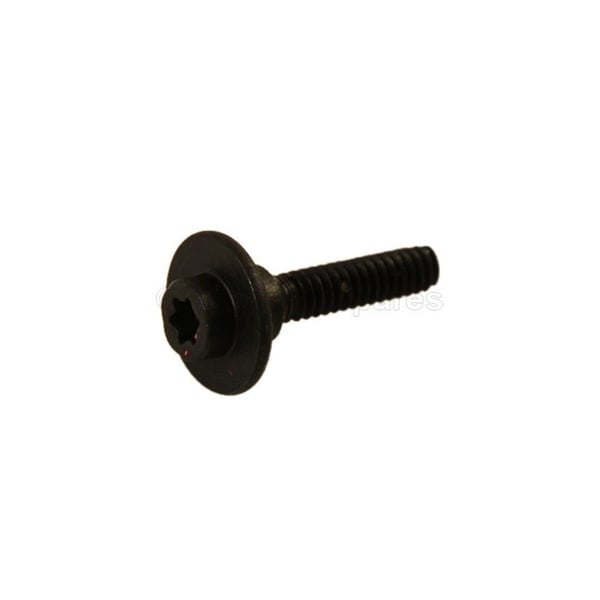 Fuel Tank Retainer Screw