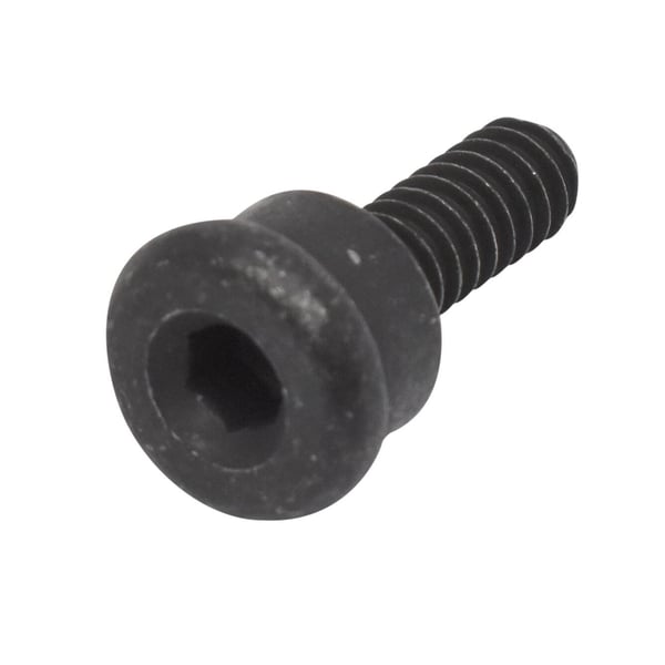 Screw