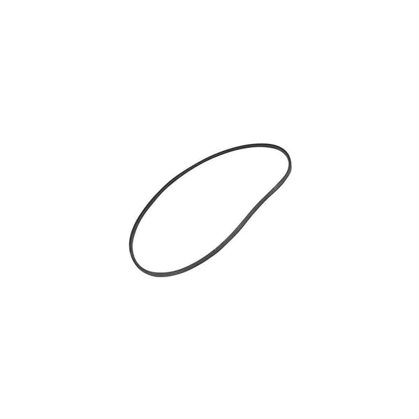 Drive Belt 