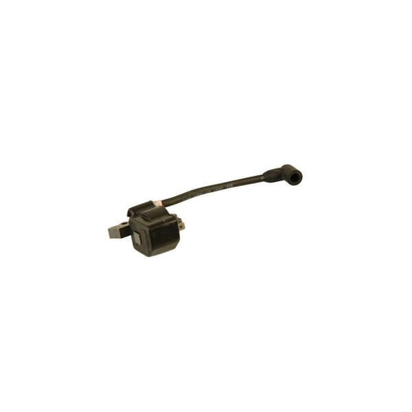 Ignition Module