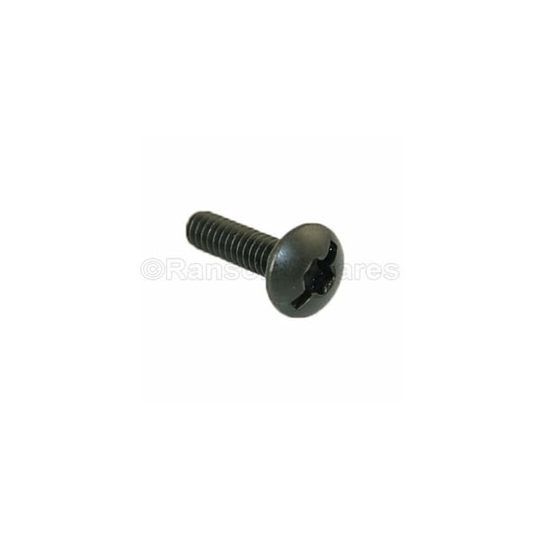 Screw