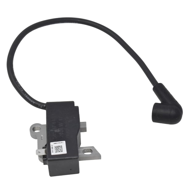 Ignition Module