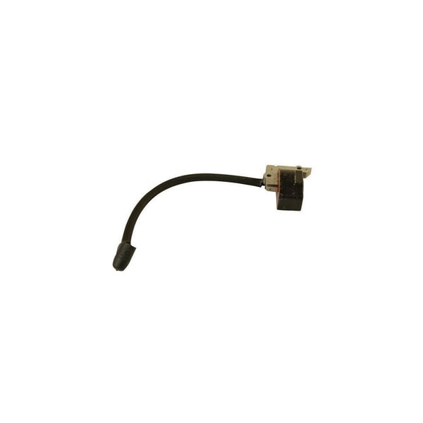 Ignition Module