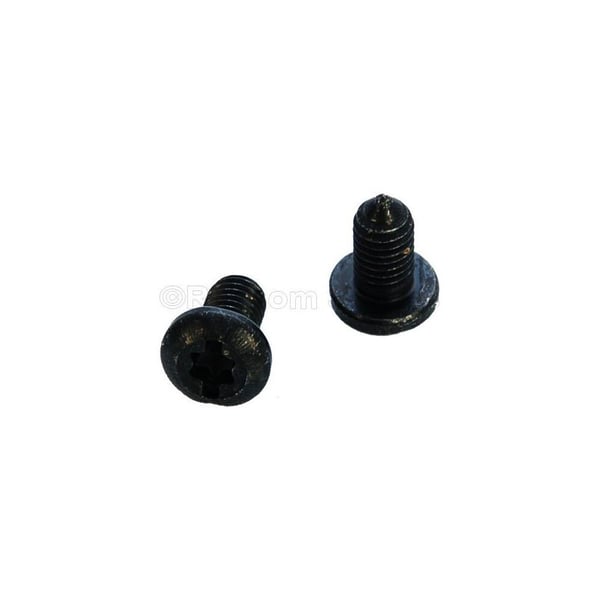 Hinge Screw