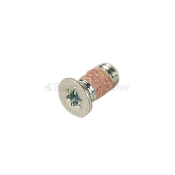 Torx Oval Head Screw