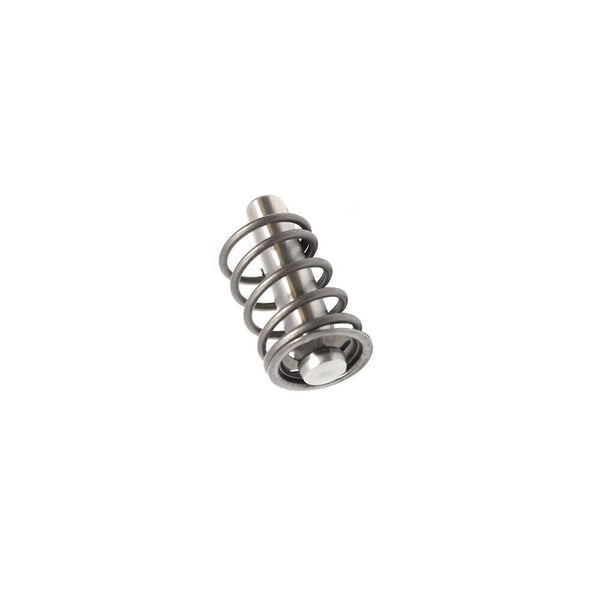 Piston Complete with Spring & Ring