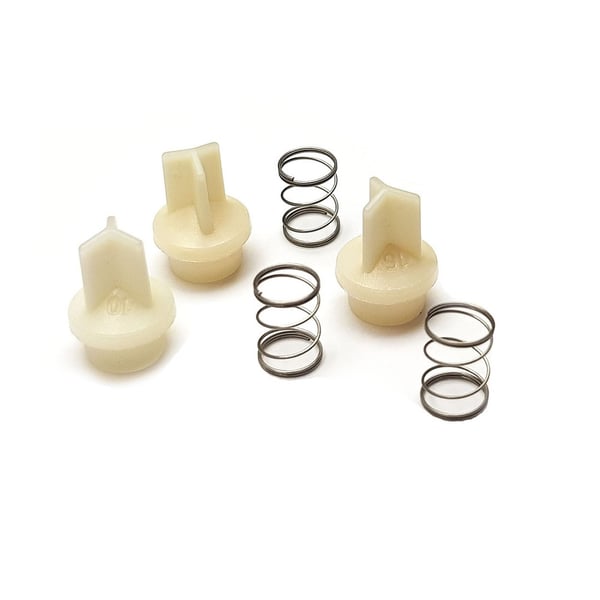 Valve & Spring Set