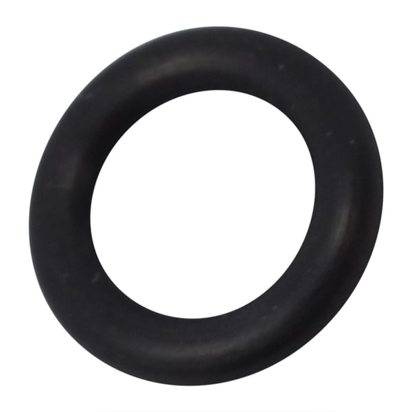 O Ring Seal