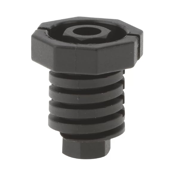 Foot Black Leg