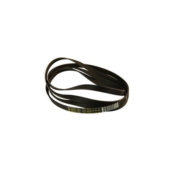 Drive Belt 