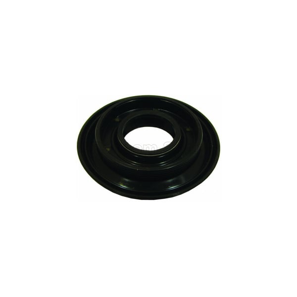 Bearing Sea Ring