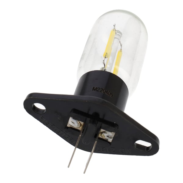 Light Bulb & Holder 