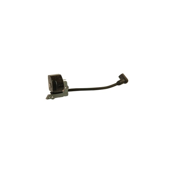 Ignition Module
