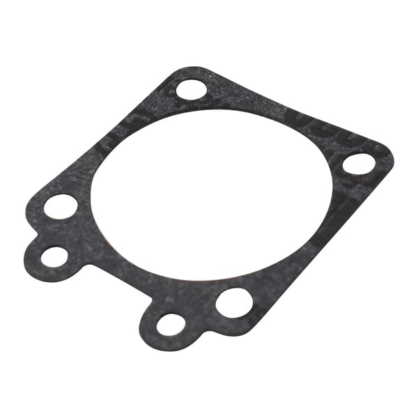 Gasket, Metering Side