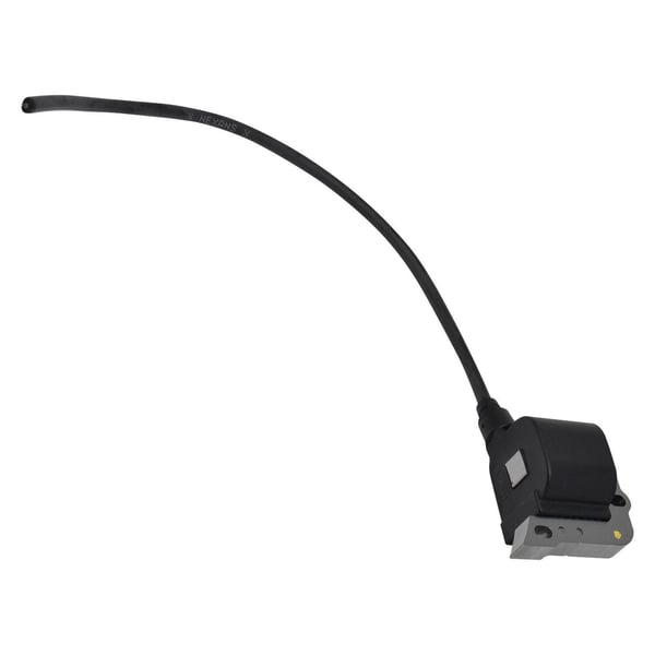 Electronic Module