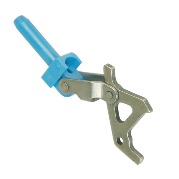Knee Joint