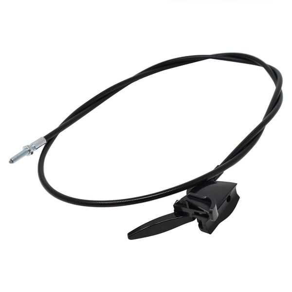 Cable