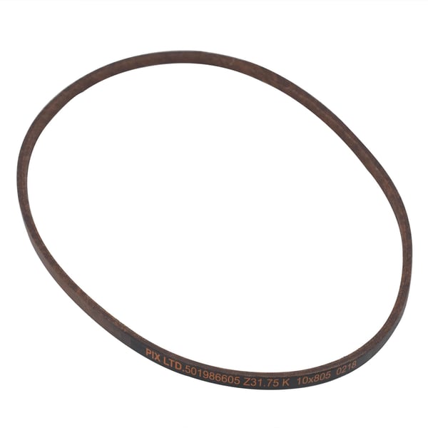 Belt