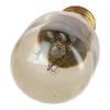 Indesit Cooker & Hob Light Bulb - Image 3