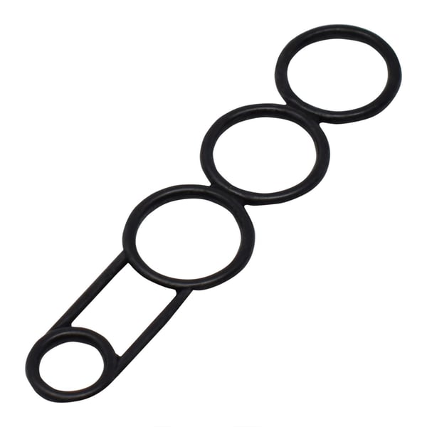 Profile gasket