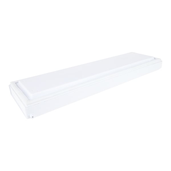 Ice Box Door Flap and Handle