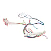 Bosch Dishwasher Cable harness - Image 4
