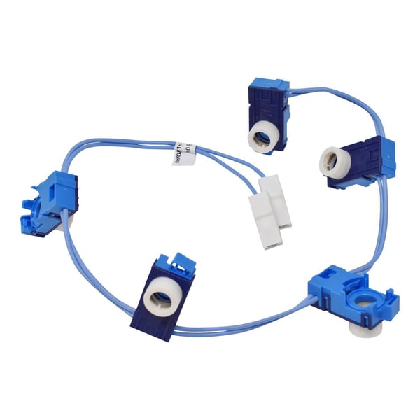 Ignition Switch Switches