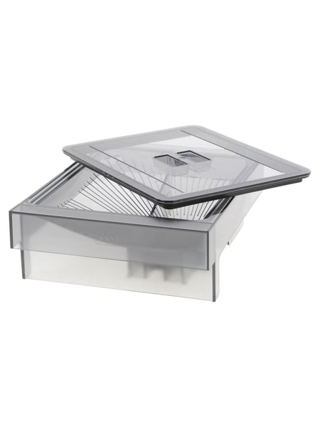 Bean Container And Lid