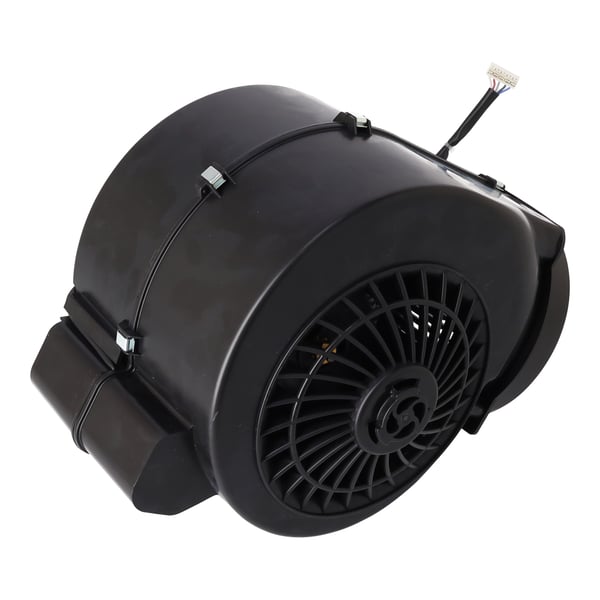 Fan motor