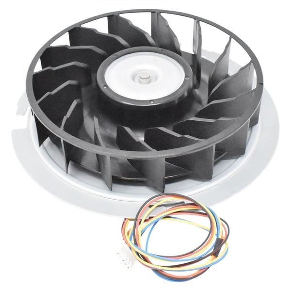 Fan Motor