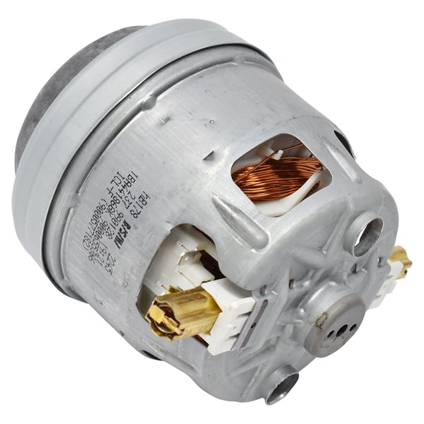 Blower motor