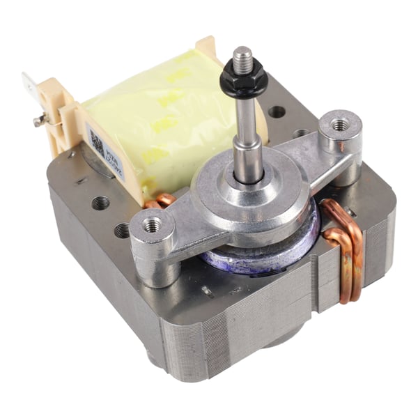 Blower motor