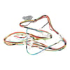 Hoover Tumble Dryer Harness - Image 11