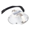 Candy Cooker Hood Light Bulb & Glass Lens - Image 5