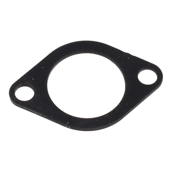 Thermostat Seal 0020300607 