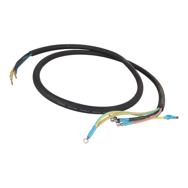 Main Cable