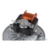 Hotpoint Cooker & Hob Fan Motor - Image 6