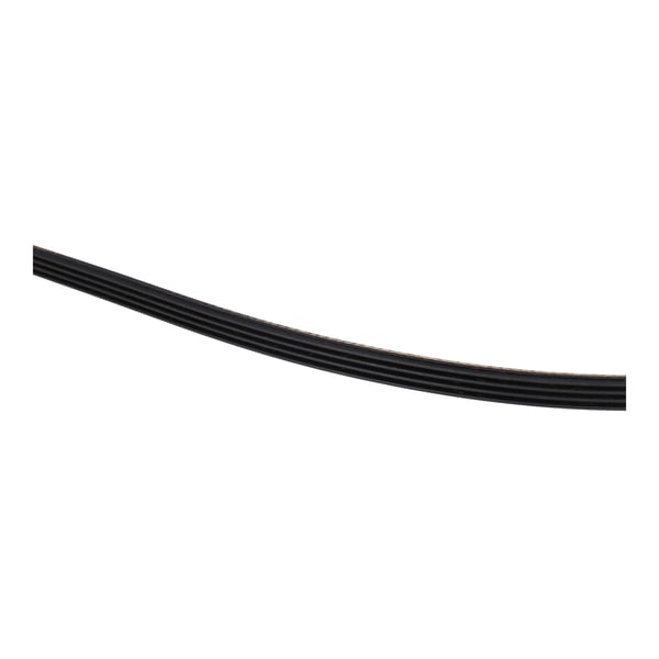 Drive Belt 