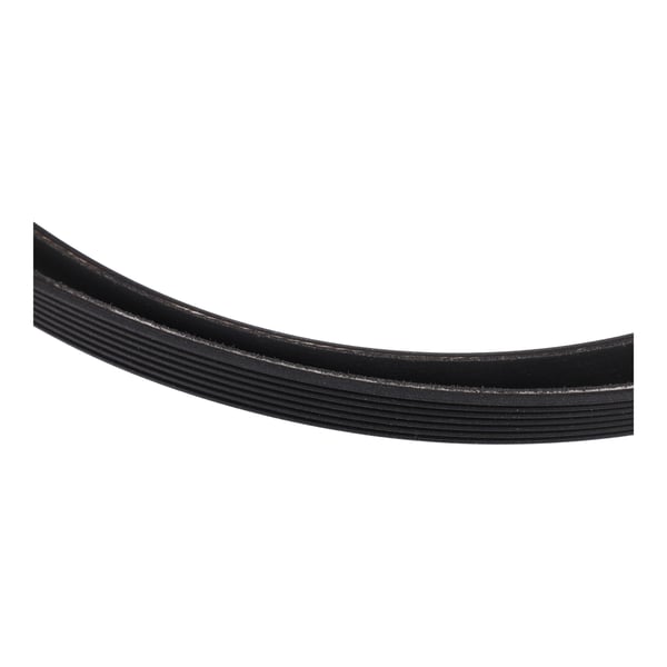 Drive Belt 