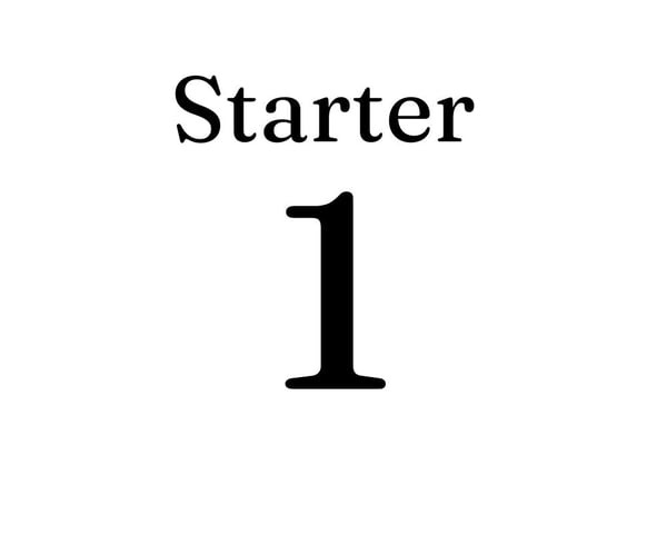 JS Starter 1