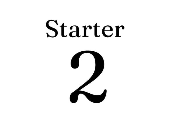 JS Starter 2