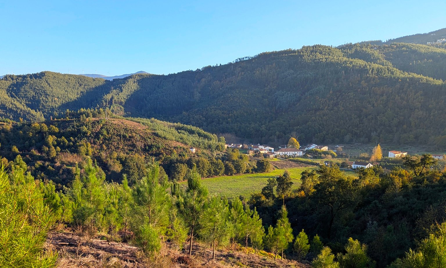A casa e a paisagem envolvente